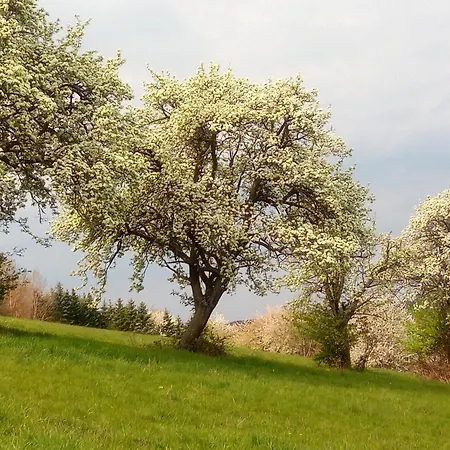 Haus Am Roemerstich Auen (Bad Kreuznach)