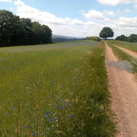 Haus Am Roemerstich Auen (Bad Kreuznach)