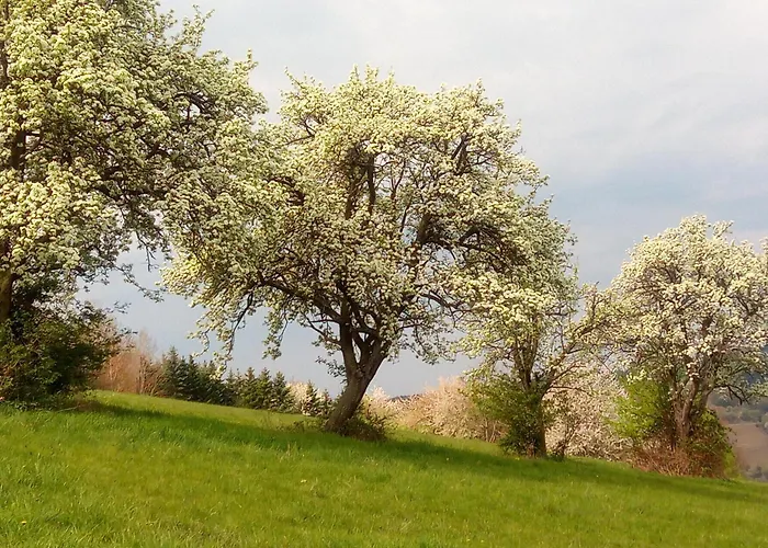 Haus Am Roemerstich Auen (Bad Kreuznach)